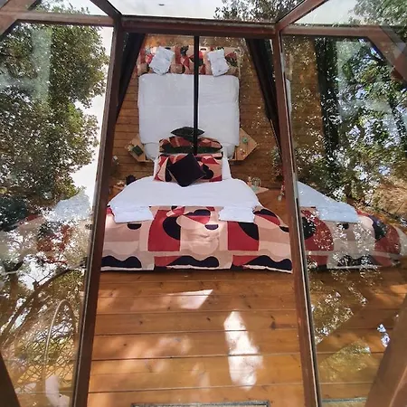 Orman Evi Cabanids