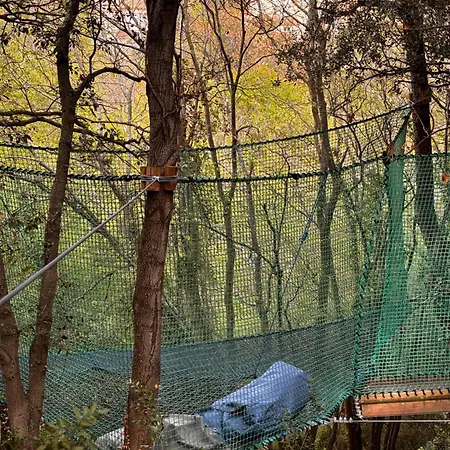 Cabanids * Maureillas