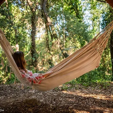 Cabanids * Maureillas