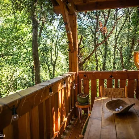 Cabanids ロッジ *