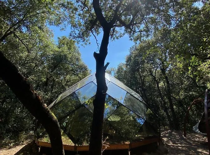 Cabanids * Maureillas