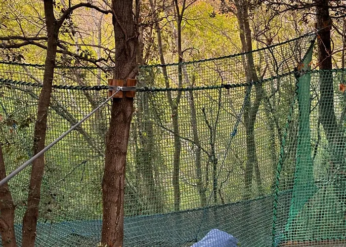 Cabanids * Maureillas